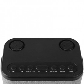 ENCEINTE PORTABLE KARAOKÉ 2 MICROS DBE50 GREY DYNABASS