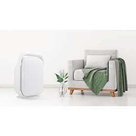 Purificateur d'air 3 filtres avec ioniseur AIR BLUE V5  Yoghi